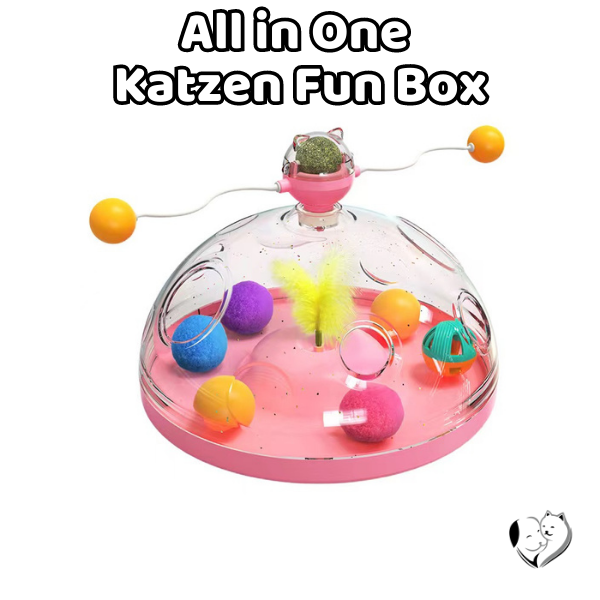 All in One Katzen Fun Box Katzenspielzeug PfotenLAND   