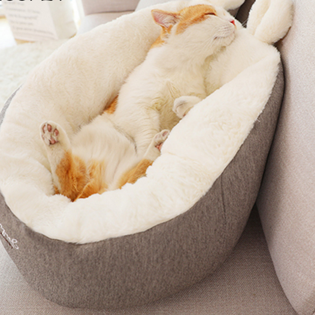 PfotenPalast Cat Beds PfotenLAND   