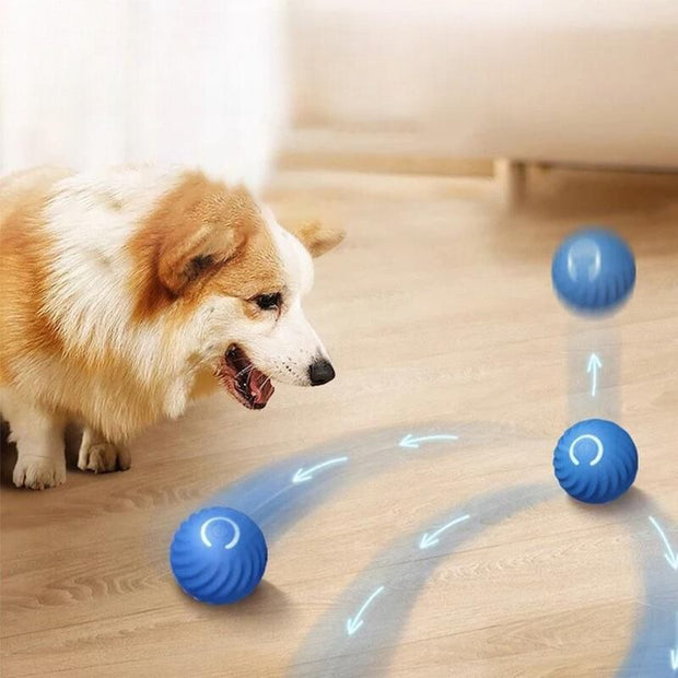 -20% Interaktiver Spielball für Hunde Interaktiver LED-Spielzeugball für Haustiere PfotenLAND   