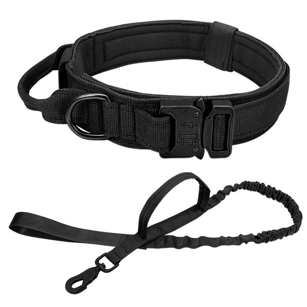 Hundehalsband Set Pet Collars & Harnesses PfotenLAND Schwarz M 