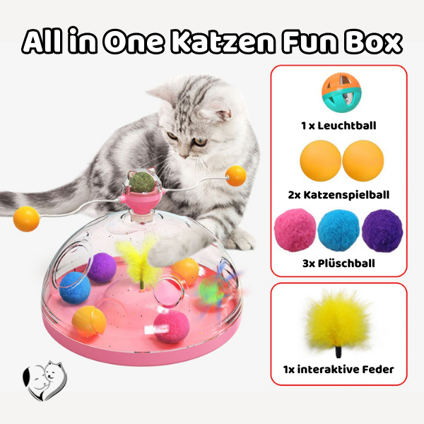 All in One Katzen Fun Box Katzenspielzeug PfotenLAND   