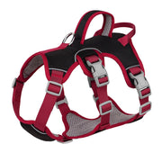 FlexiFit Hundegeschirr Pet Collars & Harnesses PfotenLAND Schwarz S 