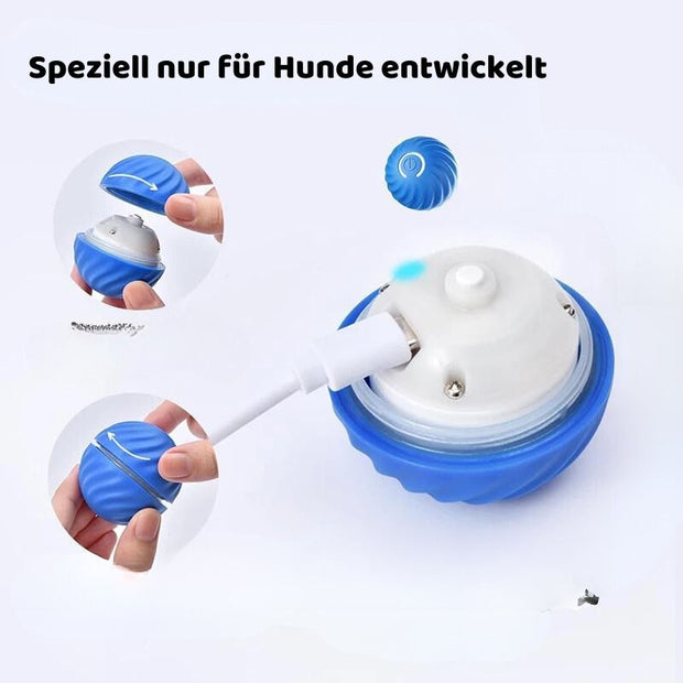 -20% Interaktiver Spielball für Hunde Interaktiver LED-Spielzeugball für Haustiere PfotenLAND   