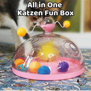 All in One Katzen Fun Box Katzenspielzeug PfotenLAND   