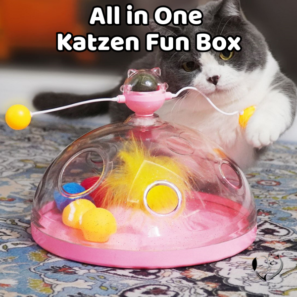 All in One Katzen Fun Box Katzenspielzeug PfotenLAND   