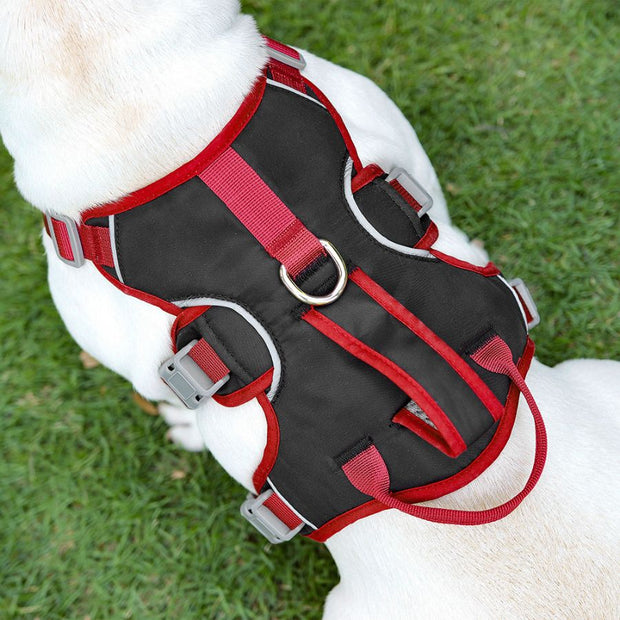 FlexiFit Hundegeschirr Pet Collars & Harnesses PfotenLAND   