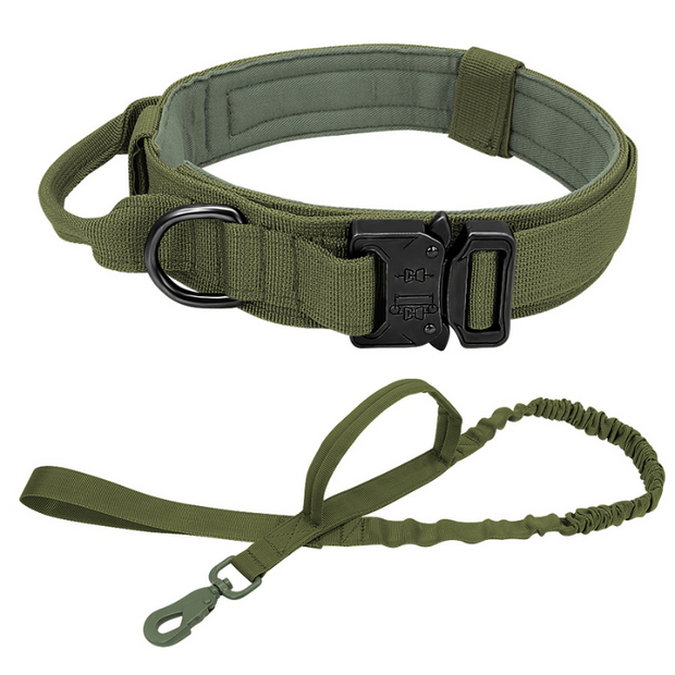 Hundehalsband Set Pet Collars & Harnesses PfotenLAND Grün M 