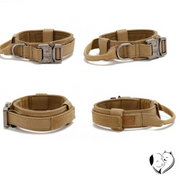 Hundehalsband Set Pet Collars & Harnesses PfotenLAND   