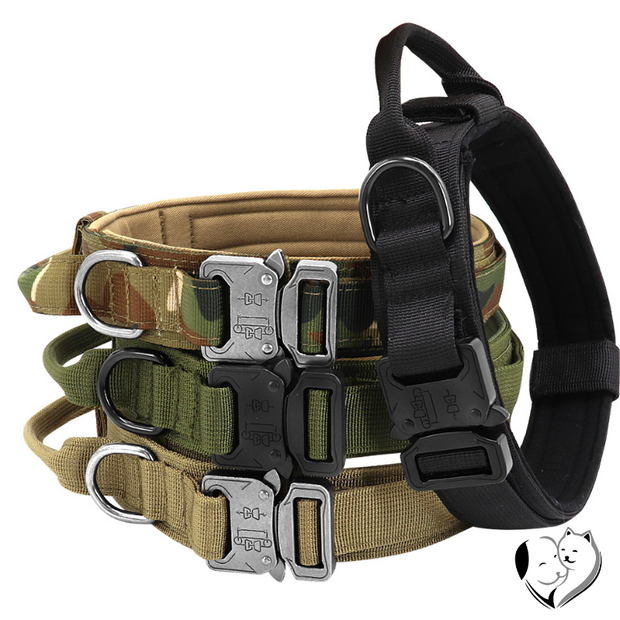 Hundehalsband Set Pet Collars & Harnesses PfotenLAND   