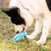 -30%Gefrierbares Beissspielzeug Haustier-Produkte, Hunde InnovaGoods   