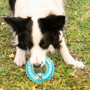 -30%Gefrierbares Beissspielzeug Haustier-Produkte, Hunde InnovaGoods   
