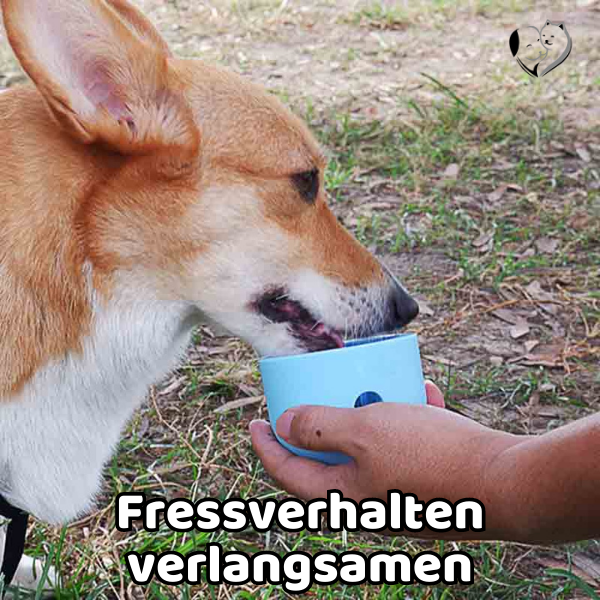 -30% Interaktives Futterspielzeug Pet Supplies PfotenLAND   