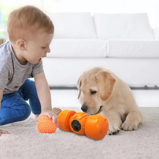 -20% Hundefutter Spielzeug - Leckerli Ball Hund Hundefutterspielzeug PfotenLAND   