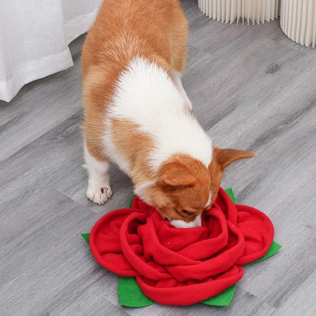 Rosen-Schnüffelmatte Rose Hund Schnuffelmatte PfotenLAND   