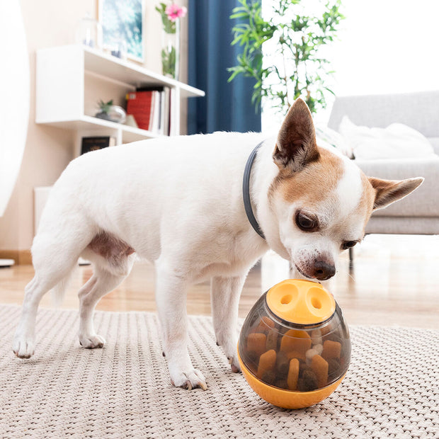 -20% Haustier-Leckerli-Spender Spielzeug Haustier-Produkte, Hunde InnovaGoods   