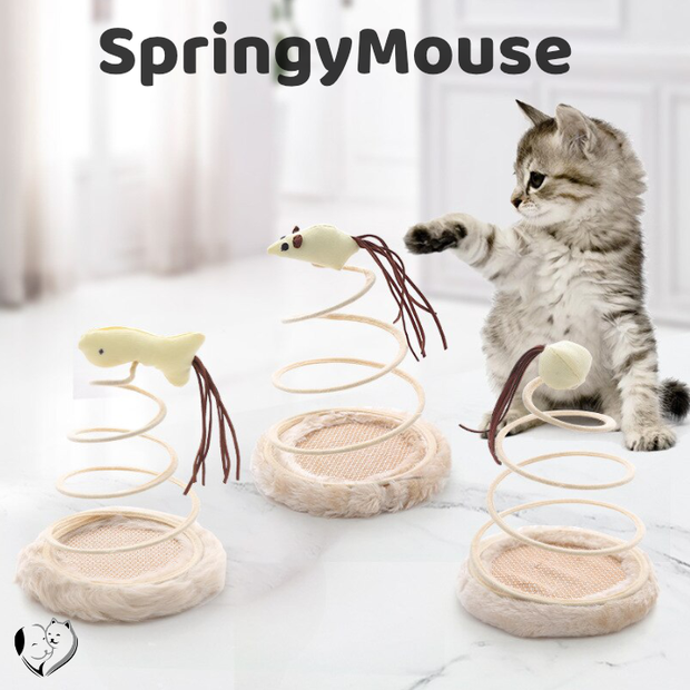 -40% SpringyMouse katzenspielzeug Katzenspielzeug PfotenLAND   