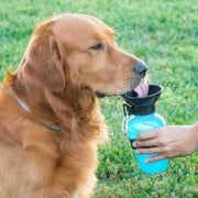 Hundetrinkflasche Haustier-Produkte, Kleine Tiere InnovaGoods   