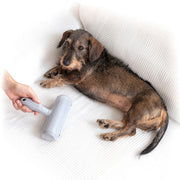 InnoRoll Tierhaarentferner Haustier-Produkte, Hunde InnovaGoods   